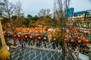 Апартаменты VIP Apartment On Shaurma 6 Rooms Баку Апартаменты с балконом-47