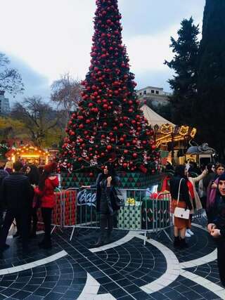 Апартаменты VIP Apartment On Shaurma 6 Rooms Баку Апартаменты с балконом-49